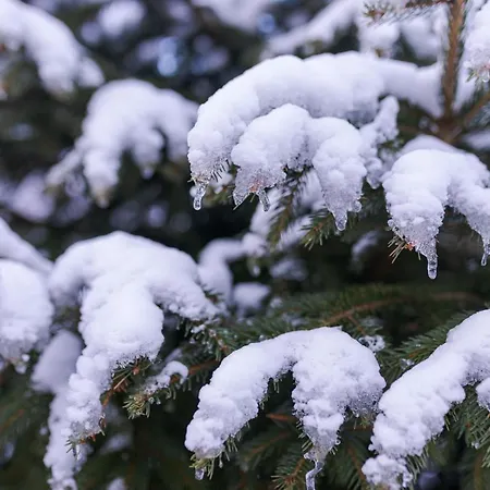 Appartement-edelweiss אלטנמרקט אים פונגאו