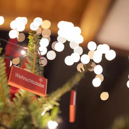 Appartement-edelweiss *